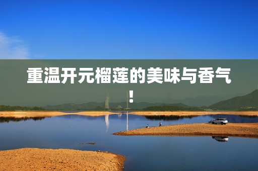 重温开元榴莲的美味与香气！