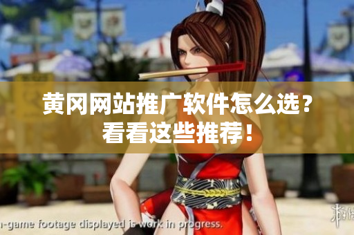 黄冈网站推广软件怎么选？看看这些推荐！