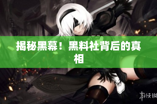 揭秘黑幕！黑料社背后的真相