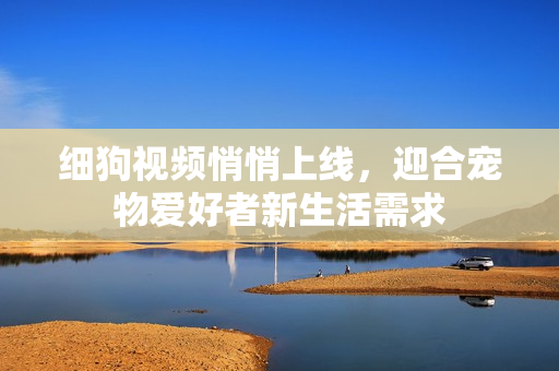 细狗视频悄悄上线，迎合宠物爱好者新生活需求