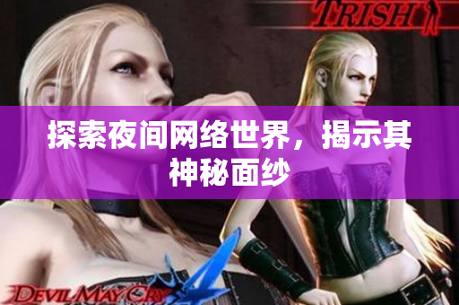 探索夜间网络世界，揭示其神秘面纱
