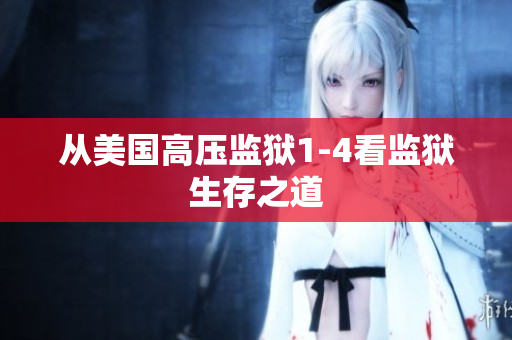从美国高压监狱1-4看监狱生存之道