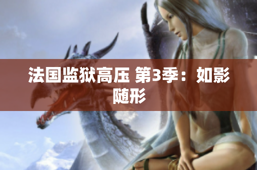 法国监狱高压 第3季：如影随形