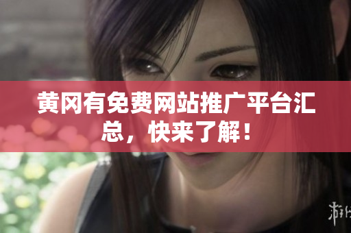 黄冈有免费网站推广平台汇总，快来了解！