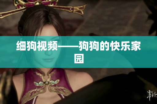 细狗视频——狗狗的快乐家园