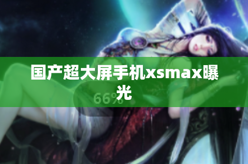 国产超大屏手机xsmax曝光