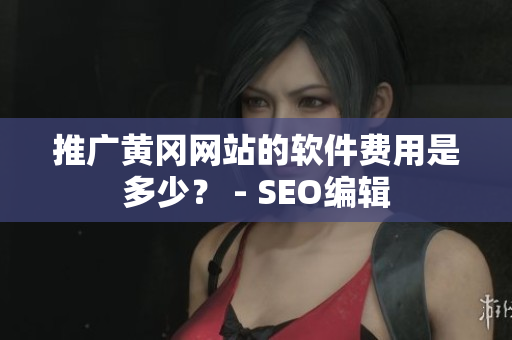 推广黄冈网站的软件费用是多少？ - SEO编辑