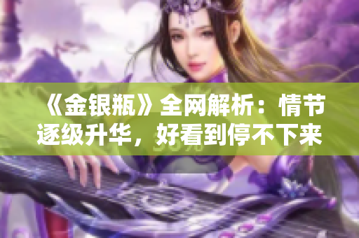 《金银瓶》全网解析：情节逐级升华，好看到停不下来！