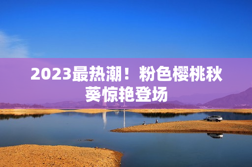 2023最热潮！粉色樱桃秋葵惊艳登场