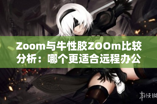 Zoom与牛性胶ZOOm比较分析：哪个更适合远程办公？