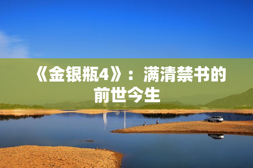 《金银瓶4》：满清禁书的前世今生