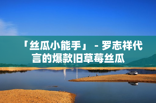 「丝瓜小能手」 - 罗志祥代言的爆款旧草莓丝瓜