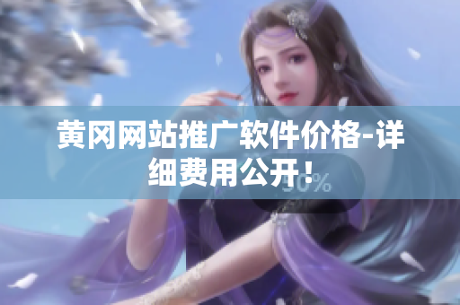 黄冈网站推广软件价格-详细费用公开！