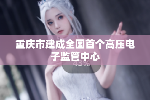 重庆市建成全国首个高压电子监管中心