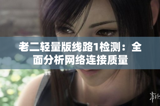 老二轻量版线路1检测：全面分析网络连接质量
