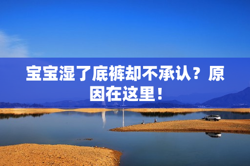 宝宝湿了底裤却不承认？原因在这里！