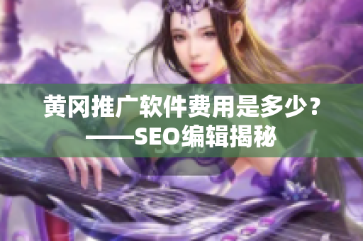 黄冈推广软件费用是多少？——SEO编辑揭秘