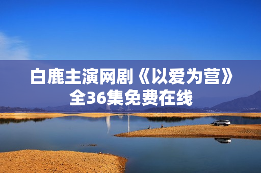 白鹿主演网剧《以爱为营》全36集免费在线