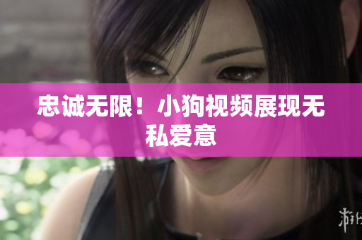 忠诚无限！小狗视频展现无私爱意