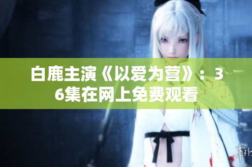白鹿主演《以爱为营》：36集在网上免费观看