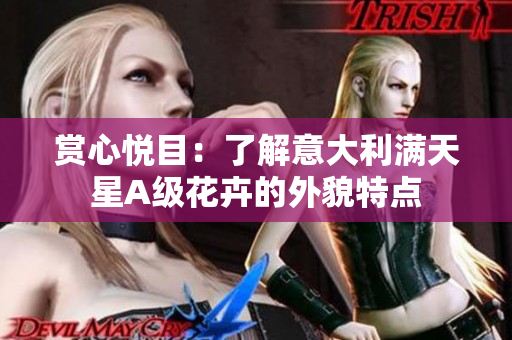 赏心悦目：了解意大利满天星A级花卉的外貌特点