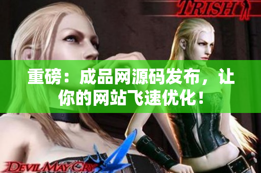 重磅：成品网源码发布，让你的网站飞速优化！