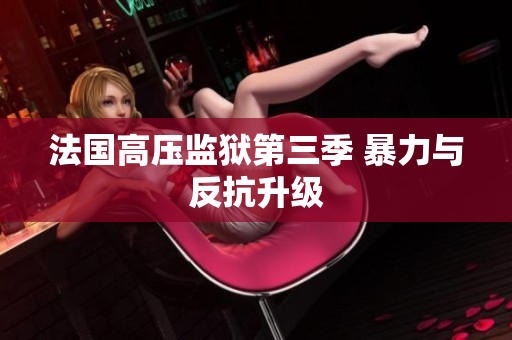法国高压监狱第三季 暴力与反抗升级