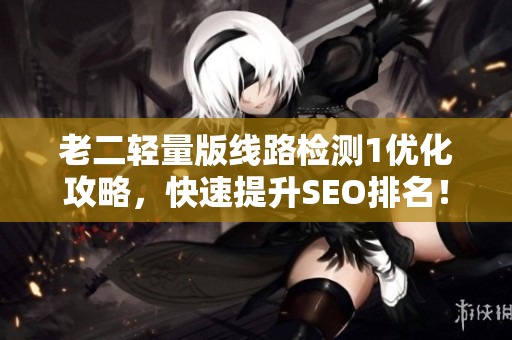 老二轻量版线路检测1优化攻略，快速提升SEO排名！