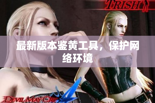 最新版本鉴黄工具，保护网络环境