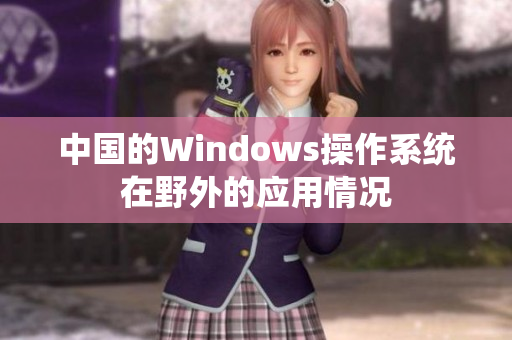 中国的Windows操作系统在野外的应用情况
