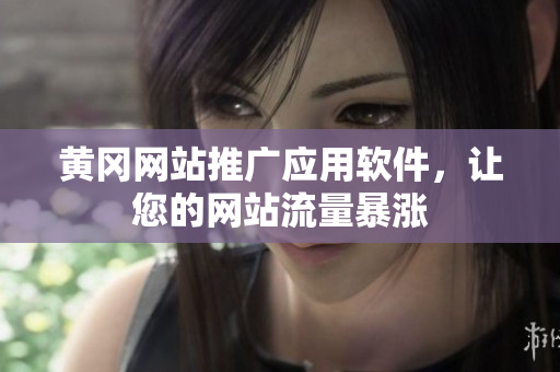 黄冈网站推广应用软件，让您的网站流量暴涨