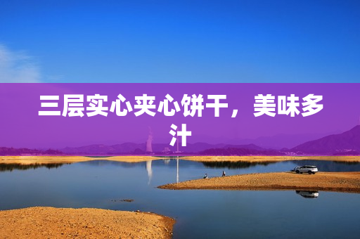 三层实心夹心饼干，美味多汁