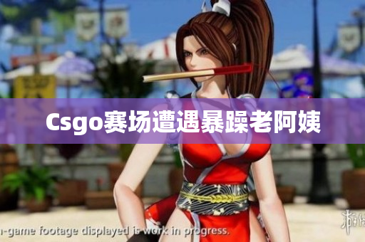 Csgo赛场遭遇暴躁老阿姨