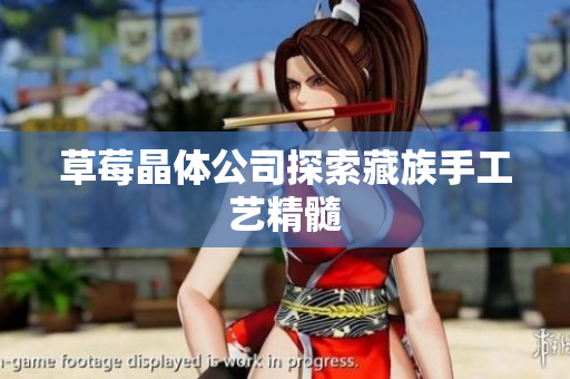草莓晶体公司探索藏族手工艺精髓