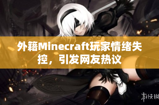 外籍Minecraft玩家情绪失控，引发网友热议