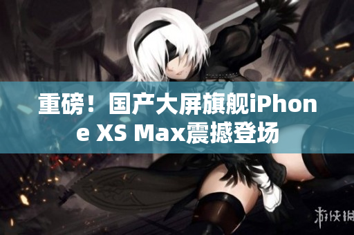 重磅！国产大屏旗舰iPhone XS Max震撼登场