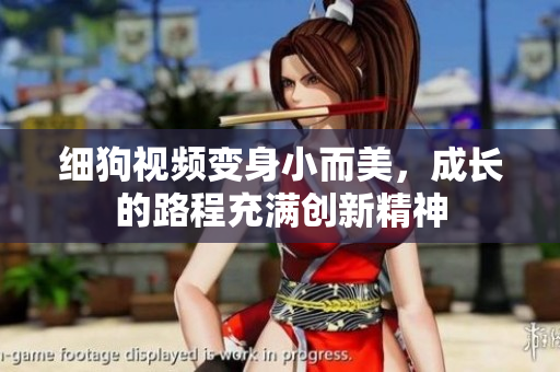 细狗视频变身小而美，成长的路程充满创新精神