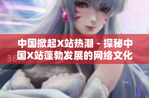 中国掀起X站热潮 - 探秘中国X站蓬勃发展的网络文化现象