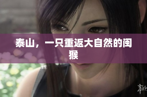 泰山，一只重返大自然的闽猴