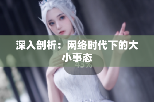 深入剖析：网络时代下的大小事态
