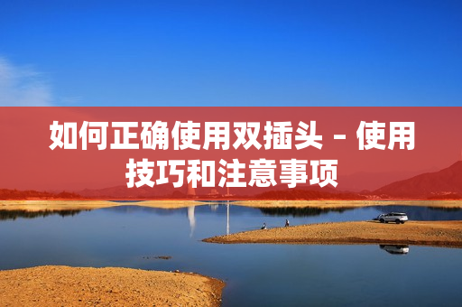 如何正确使用双插头 – 使用技巧和注意事项