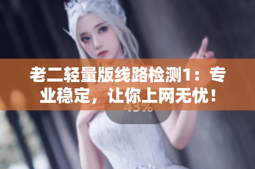 老二轻量版线路检测1：专业稳定，让你上网无忧！