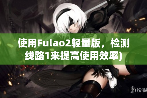 使用Fulao2轻量版，检测线路1来提高使用效率)