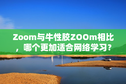 Zoom与牛性胶ZOOm相比，哪个更加适合网络学习？