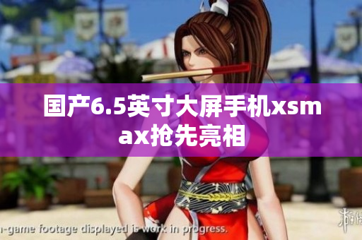 国产6.5英寸大屏手机xsmax抢先亮相