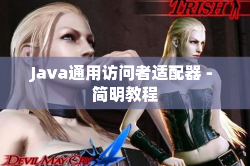 Java通用访问者适配器 - 简明教程