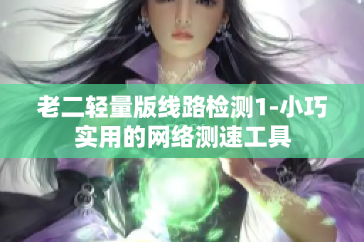 老二轻量版线路检测1-小巧实用的网络测速工具