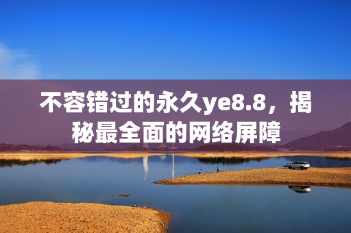 不容错过的永久ye8.8，揭秘最全面的网络屏障