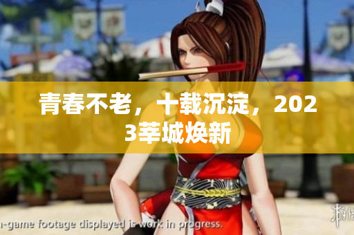 青春不老，十载沉淀，2023莘城焕新