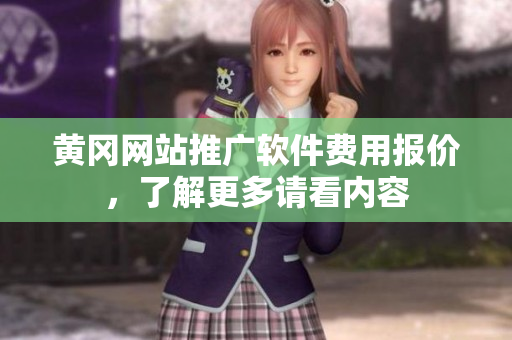 黄冈网站推广软件费用报价，了解更多请看内容